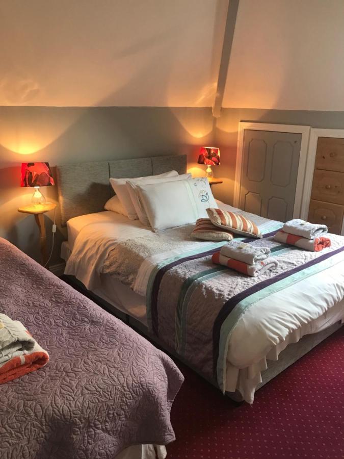 Aurora House Bed And Breakfast Athy Buitenkant foto