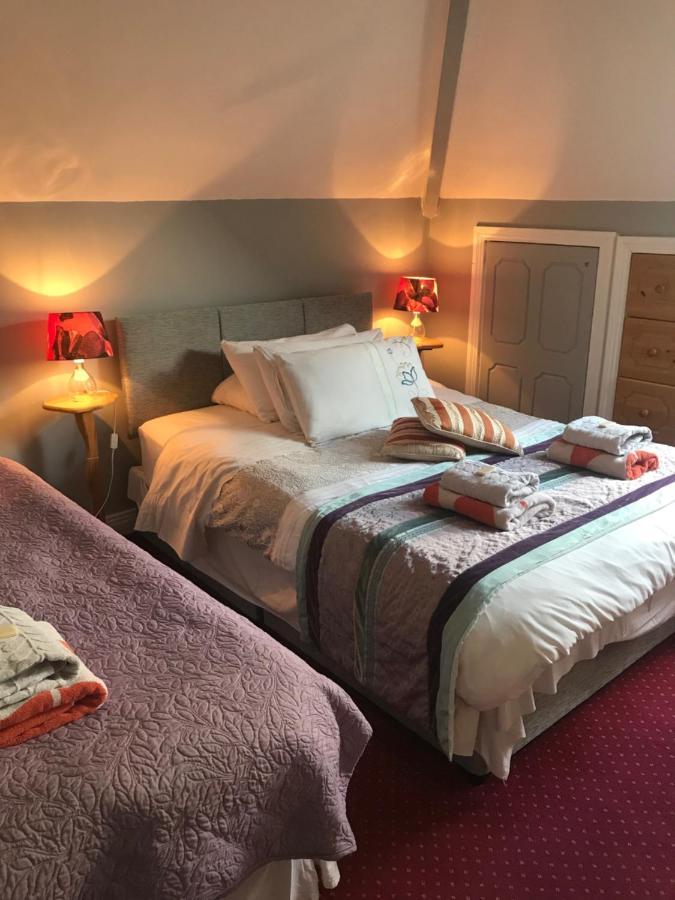 Aurora House Bed And Breakfast Athy Buitenkant foto