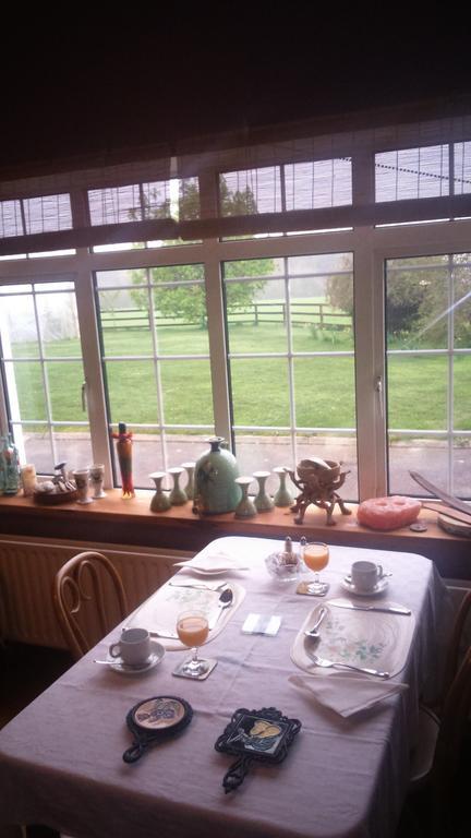 Aurora House Bed And Breakfast Athy Buitenkant foto